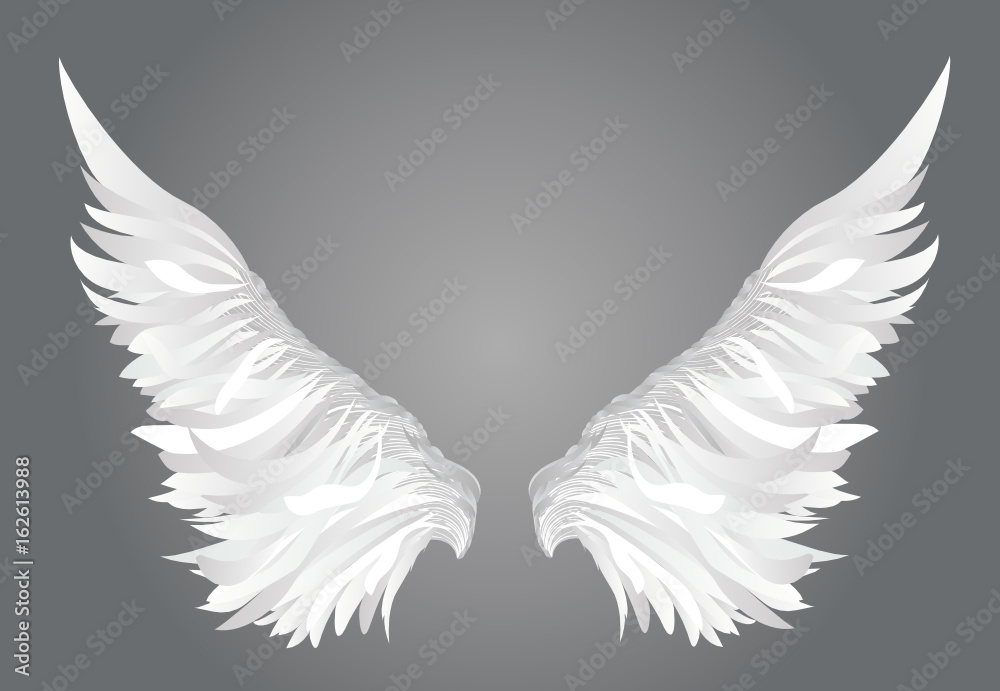 Fototapeta premium Wings. Vector illustration on white background. Black and white style