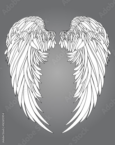 Wings. Vector illustration. Black and white style 