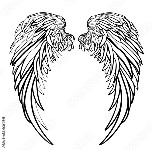 Wings. Vector illustration on white background. Black and white style