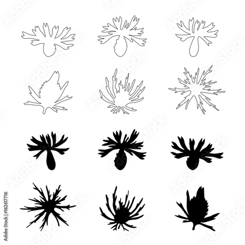Vector illustration with cornflowers and thistles flowers outlines. Simple ha...