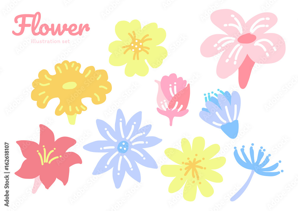 Obraz premium Flower illustration set