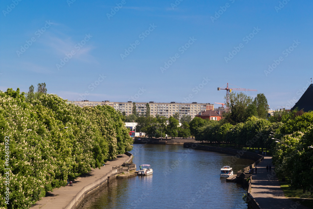 Fototapeta premium City river on a sunny day