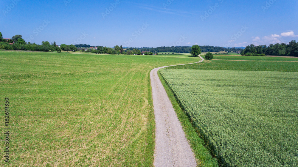 Rural Swiss road