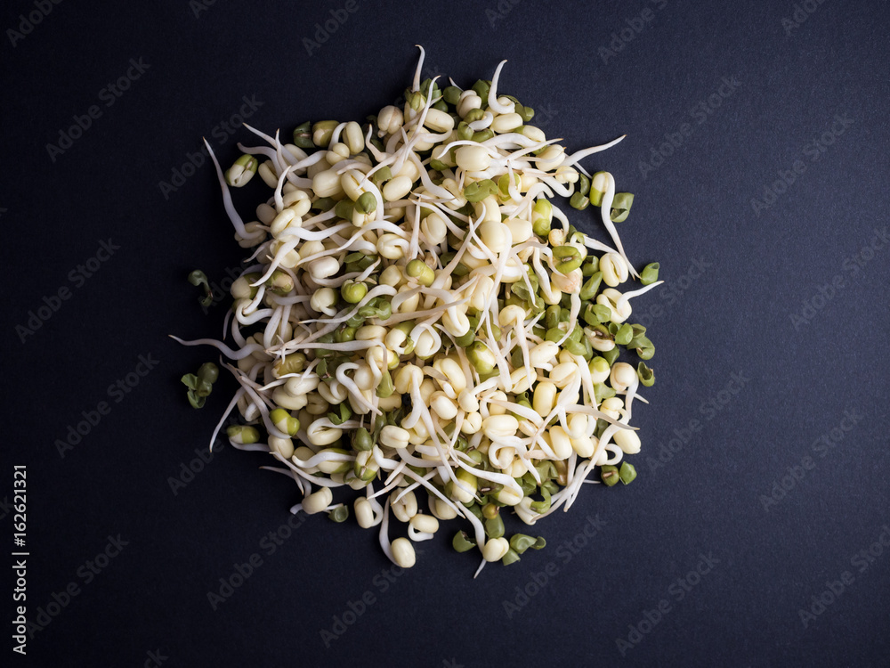 Fresh mung bean sprouts isolated on black background