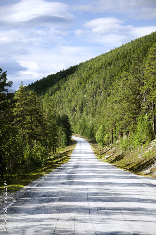 Fototapeta premium Norwegen - Rondane Nationalpark