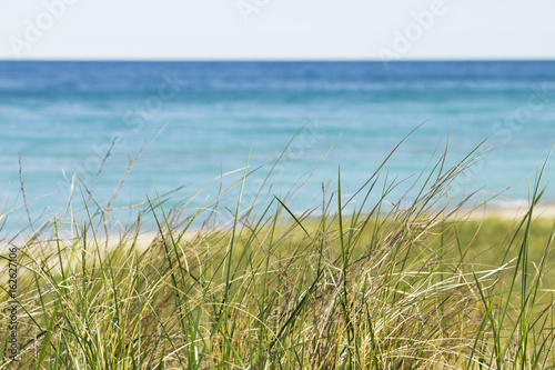 Aqua blur waters in warm summer michigan with dune grass and path leading to the water.  Alone and peaceful quiet waves lapping on shore.  Copyspace.