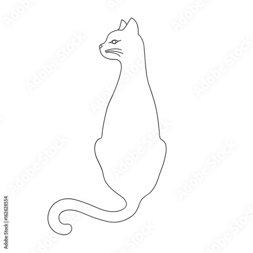 Isolated black outline back of cat with turned head on white background. Curve lines.