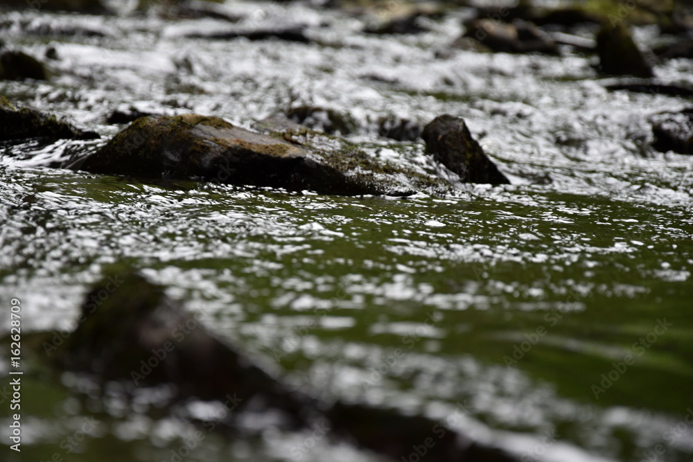 Fototapeta premium There are stones coming out of the dark river.