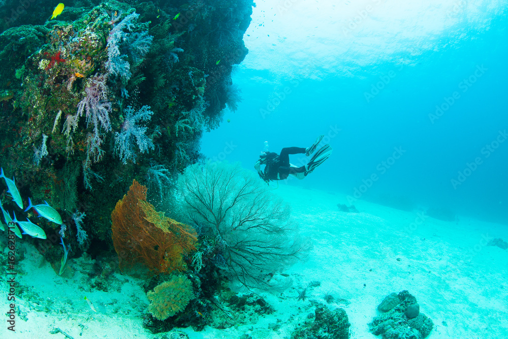 Φωτογραφία KHAO LAK, THAILAND - MARCH 1: Coral, fish and scuba driver underwater in Similan Islands, Thailand on March 1, 2009