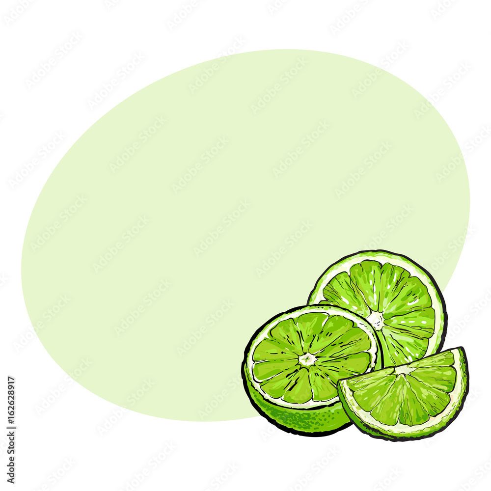 Unpeeled green lime halves and pieces, hand drawn sketch style vector illustration with space for text. Hand drawing of unpeeled lime, half, quarter, side view Unpeeled green lime halves and pieces, hand drawn sketch style vector illustration with space for text. Hand drawing of unpeeled lime, half, quarter, side view