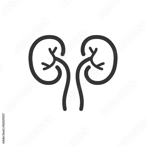  Kidneys Icon