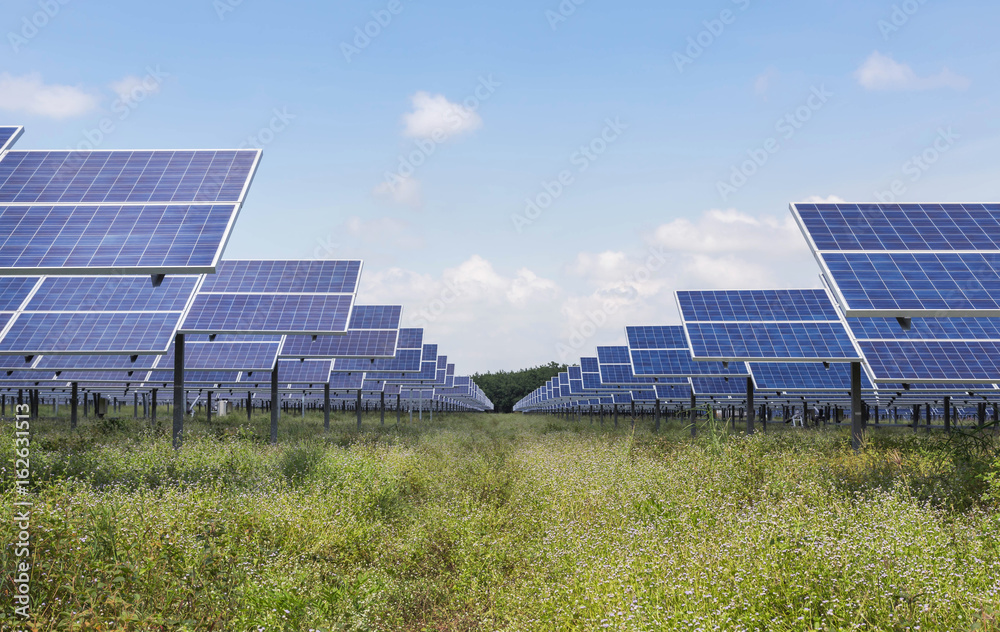 solar panels in power station alternative energy from the sun solar panels in power station alternative energy from the sun