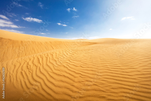 desert landscape with a blue sky