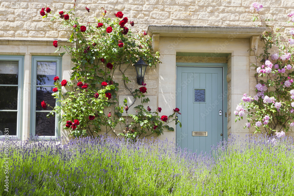 Obraz premium Light blue wooden doors in an old traditional English stone cottage surrounded by climbing red and pink roses , with flowering lavender in front.