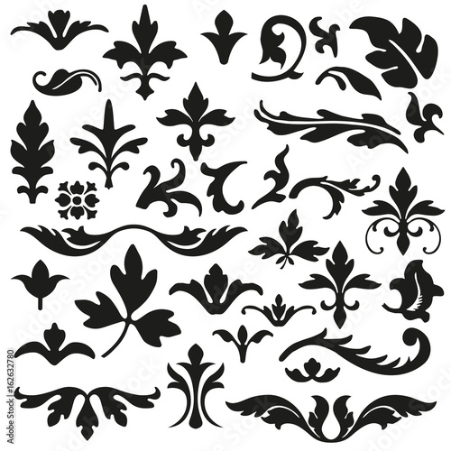 Set of flourishes calligraphic elegant ornament vector illustration
 photo
