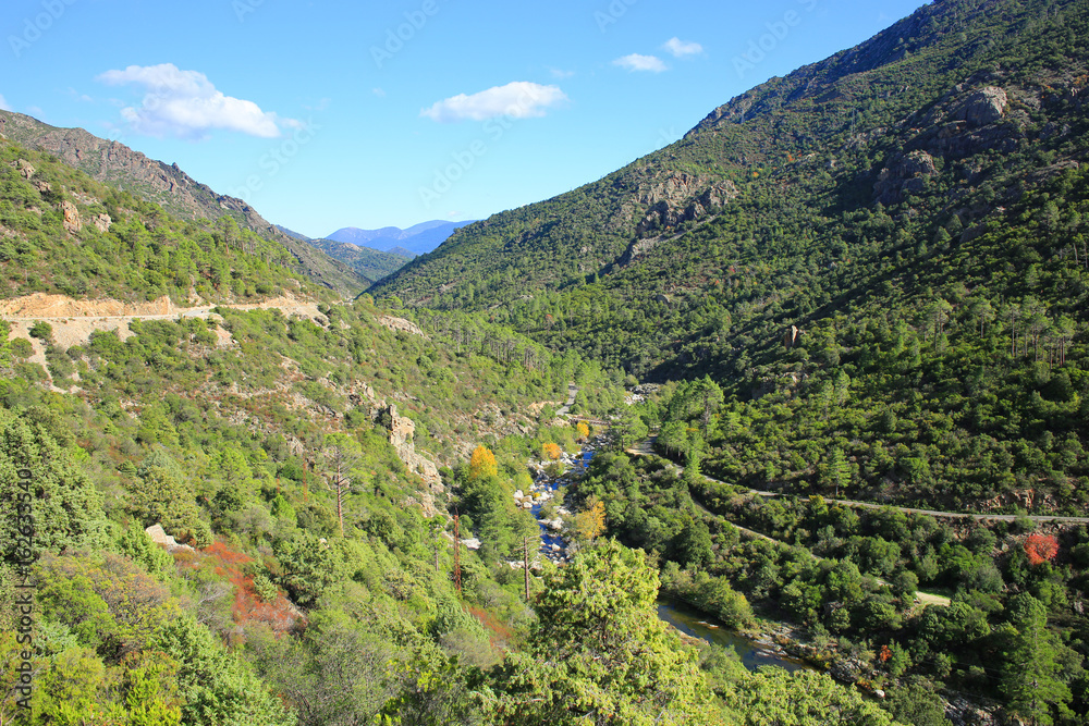 Idyllic valley on Corsica Island, France