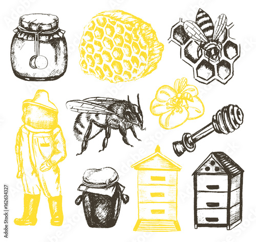 Bee Garden -  illustration of vector vintage composition