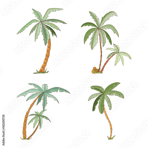 Hand drawn tropical palm trees set.