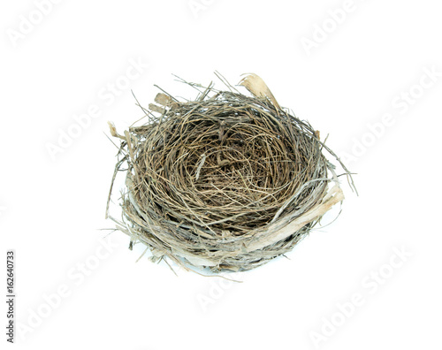 empty bird nest on white background