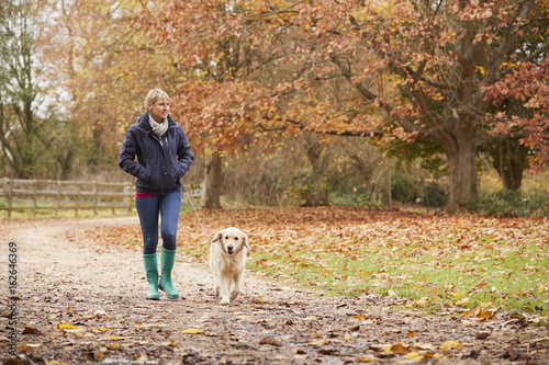 Mature Woman On Autumn Walk With Labrador