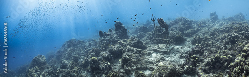 Unterwasser - Riff - Korallenriff - Panorama - Schwamm - Taucher - Tauchen - Curacao - Karibik