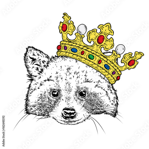 Lovely raccoon in the crown. Vector illustration for a postcard or a poster, print for clothes. Wild animal in clothes.