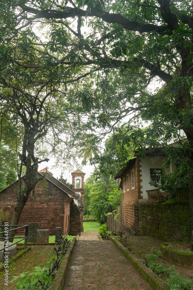 Greenery landscape in old Goa at Monsoon season Greenery landscape in old Goa at Monsoon season