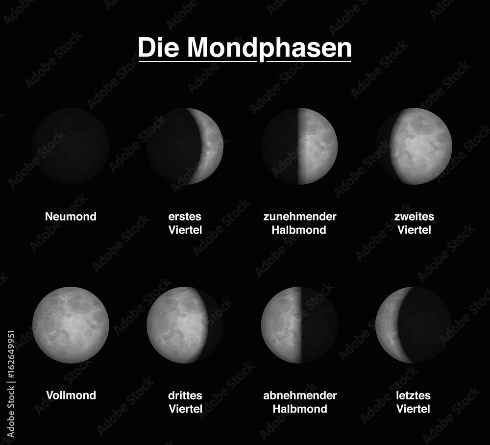 Fototapeta premium Lunar phases of the moon - GERMAN LABELING - different shapes of illuminated portions. Vector illustration on black background.