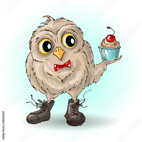 Cute cartoon owl shoes with cupcakes.