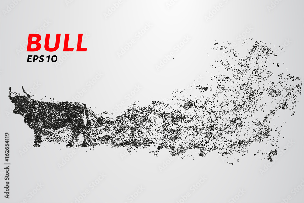 Bull of particles. The bull consists of circles and points. Vector ...