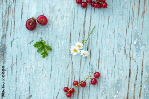 Berries of red currant summer vitamins background crop on blue.