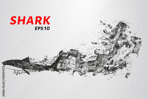 The shark from the particle. The shark consists of circles and points. Vector illustration.