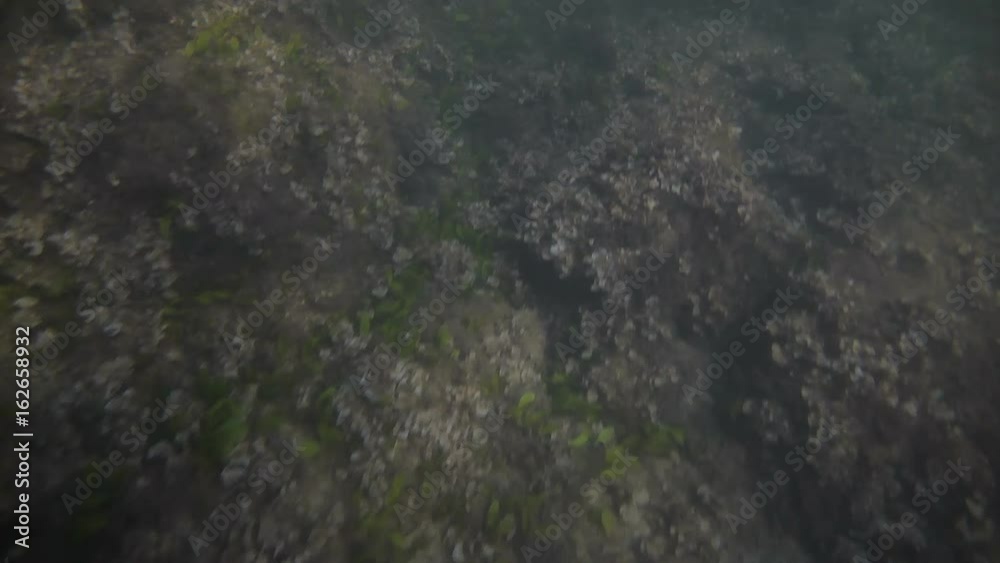 Underwater video shooting on the beach of Mallorca. Underwater video shooting on the beach of Mallorca.