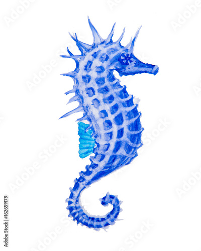Watercolor drawing of a seahorse