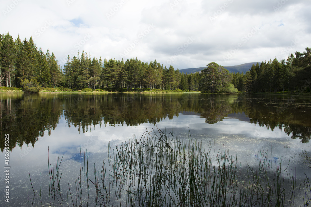 Lake Reflection Lake Reflection