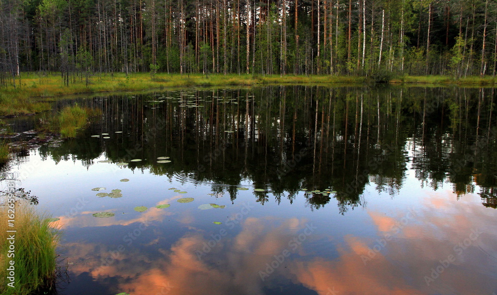 Evening reflection in the lake near the town of Mikkeli, Southern Savonia region, Finland Evening reflection in the lake near the town of Mikkeli, Southern Savonia region, Finland