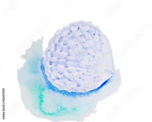 Photography Watercolor drawing of a seashell