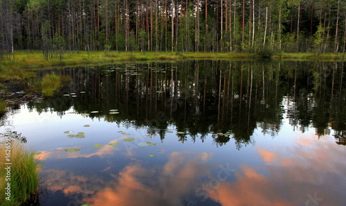 Evening reflection in the lake near the town of Mikkeli  Southern Savonia region  Finland