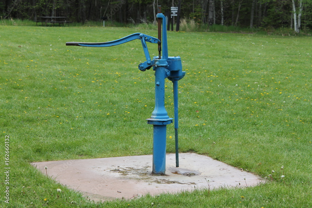 pipe,blue,grass,green,stand pipe,trees,leaves,forest