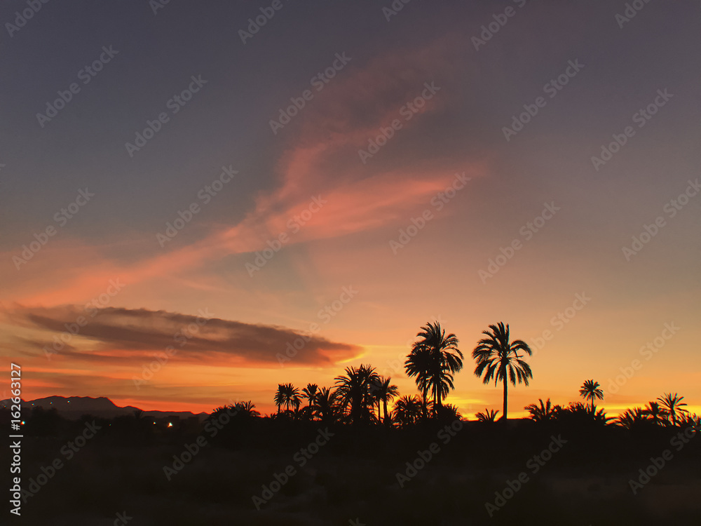 Landscape of a sunset in Elche