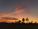 Landscape of a sunset in Elche