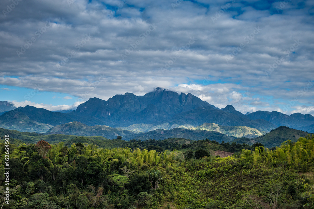 Marojejy park view under the clouds