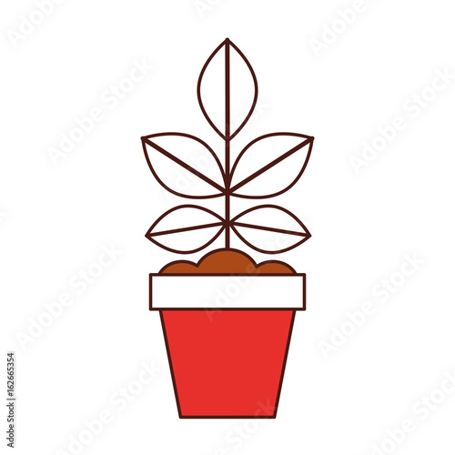 Cultivated plant in pot vector illustration design