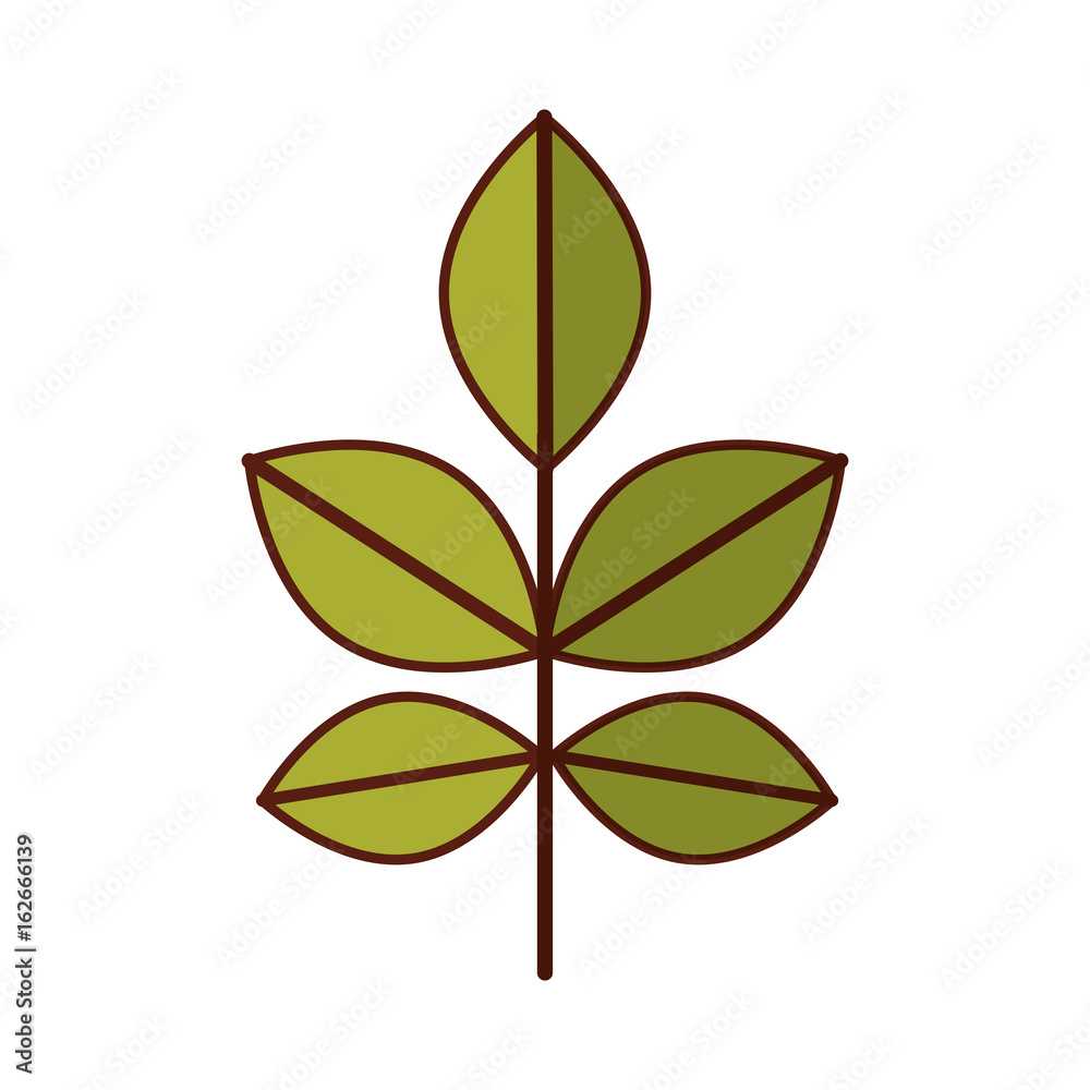 Cultivated plant isolated icon vector illustration design Cultivated plant isolated icon vector illustration design