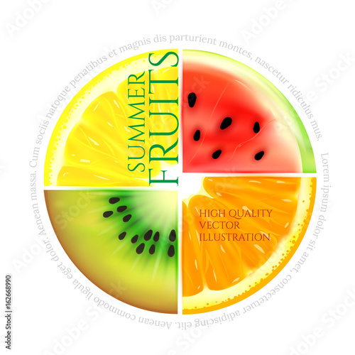 Summer fruit slices in a circle isolated on white background. Realistic vector illustration a piece of watermelon, lemon, orange and kiwi
