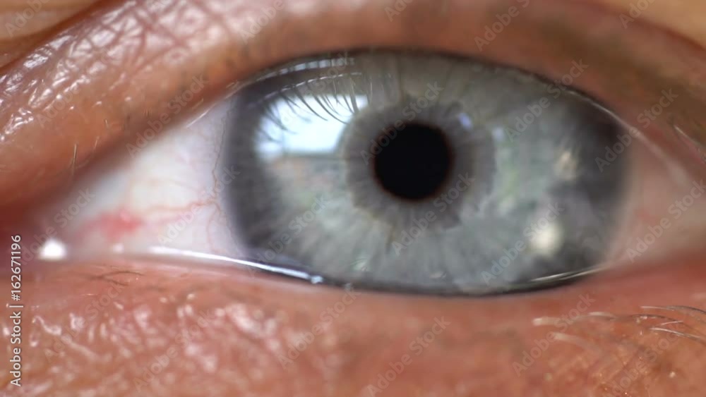 Blue human eye. Beauty macro closeup woman's eye blinking - videoslow motion