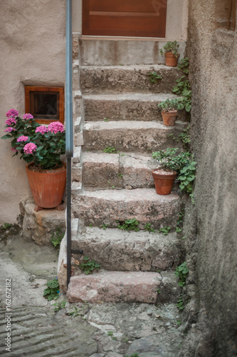 Stone stairs with flower pots