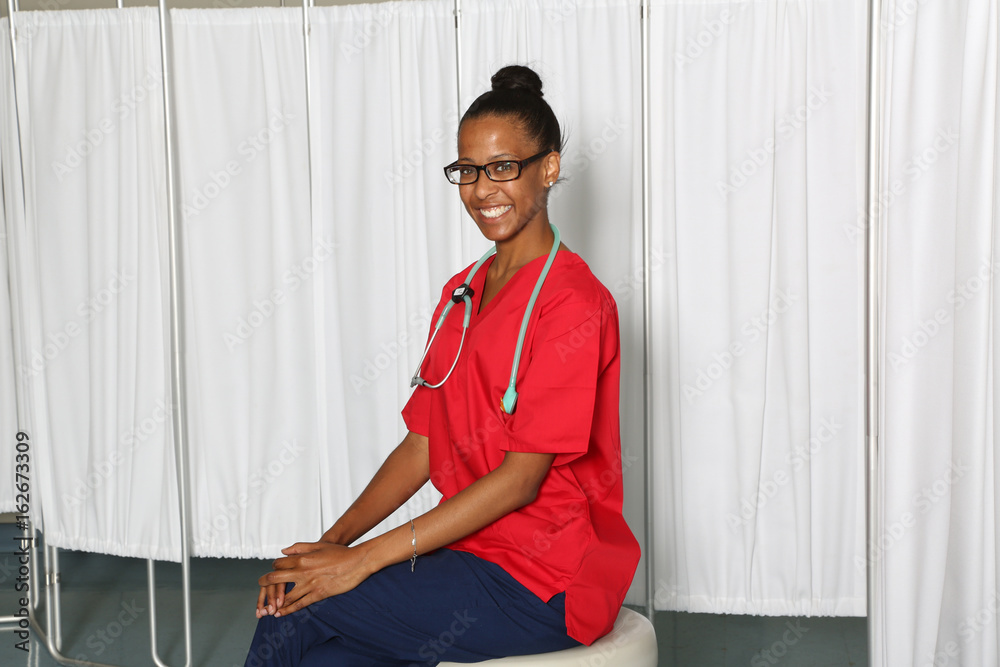 Portrait of a young attractive African American woman, female health care professional. Portrait of a young attractive African American woman, female health care professional.