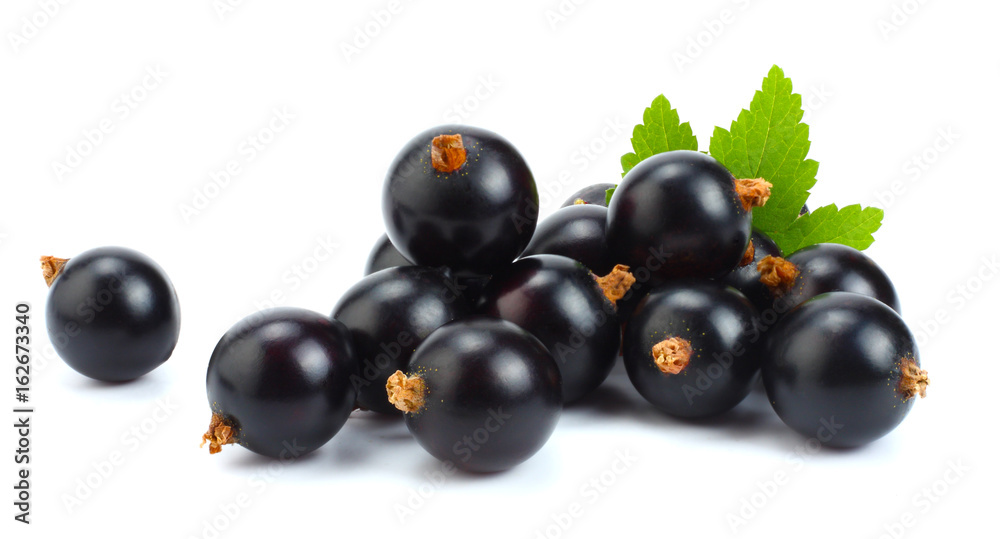 black currant with green leaf isolated on white background black currant with green leaf isolated on white background