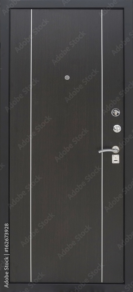 Entrance door (metal door)
